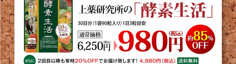 111��̔��y�G�L�X�Ƙa���f�ޗ�ł��Ïk�����T�v�����T�C�g